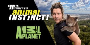 Chris Humpfrey's Animal Instinct Trailer